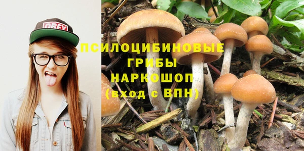 mdpv Алексин