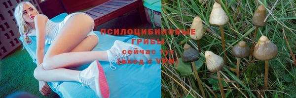 mdpv Алексин