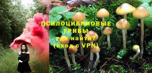 МДПВ Алексеевка